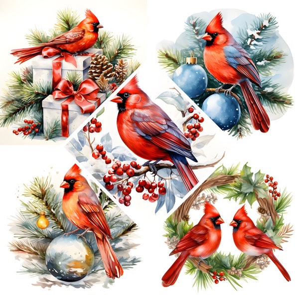 Christmas Red Cardinal Watercolor Clipart, Red Cardinal Print,Book Scrapping High QualityJPG's,Commercial Use,Digital Download