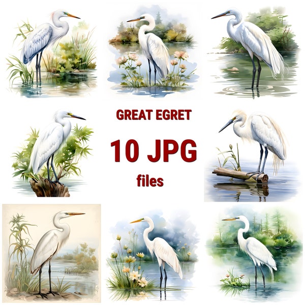Great Egret Watercolor Clipart, Egret Watercolor Painting Print, Book Scrapping High QualityJPG's, Commercial Use, Digital Download