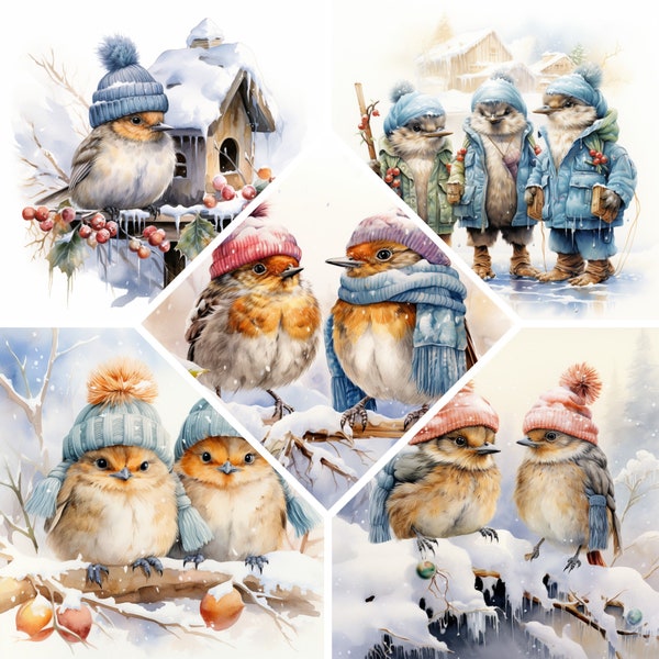 Cute Winter Birds Watercolor Clipart, Snowy Winter Birds Print, Book Scrapping High Quality JPG's, Commercial Use,Digital Download