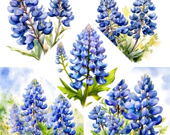 Texas Bluebonnets Watercolor Clipart, Wildflowers Lupines Print, Book Scrapping,High QualityJPG's, Commercial Use,Digital Download,