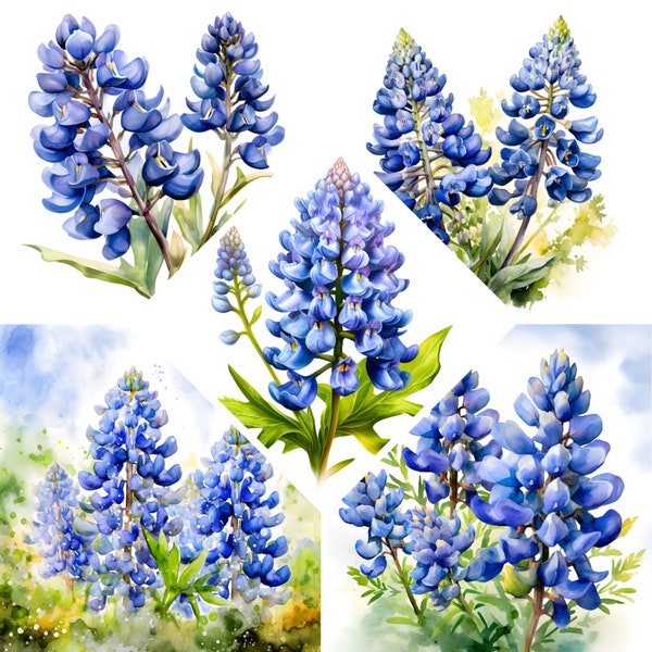 Texas Bluebonnets Watercolor Clipart, Wildflowers Lupines Print, Book Scrapping,High QualityJPG's, Commercial Use,Digital Download,