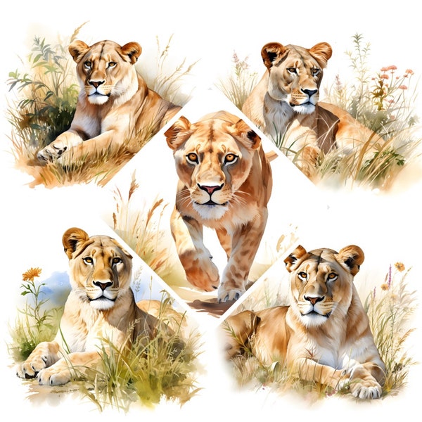 Lioness Watercolor Clipart, Lioness in Safari Watercolor Painting Print, Book Scrapping High Quality JPG's, Commercial Use, Digital Download