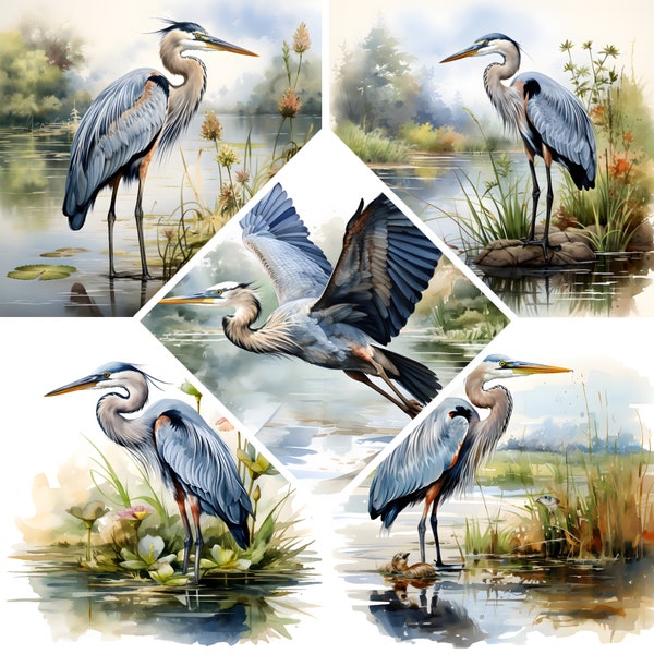 Great Blue Heron Watercolor Clipart, Wall Art Bird Instant Download, Book Scrapping, High QualityJPG's, Commercial Use, Digital Download
