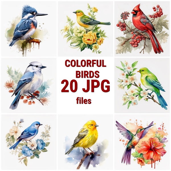 Colorful Birds Clipart Bundle, 20 JPG Watercolor Files, Digital Crafting, Paper crafts, Cute clipart, Instant Download, Commercial Use