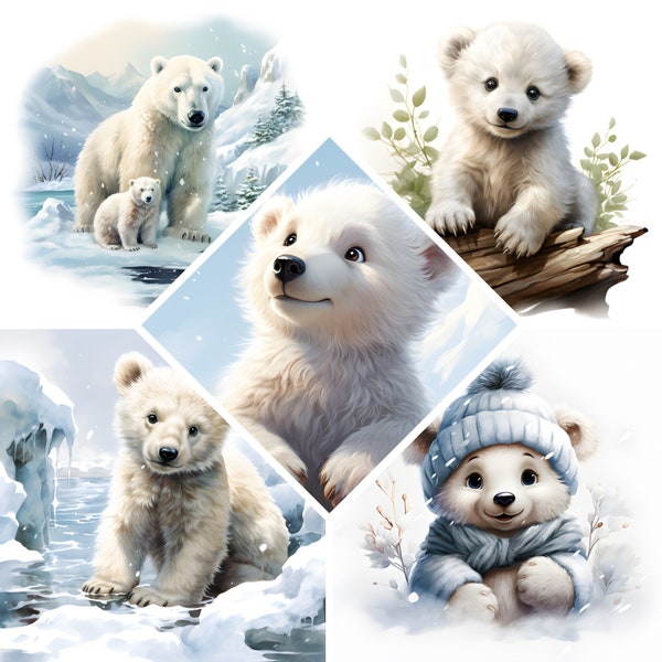 Baby Polar Bear Watrrcolor Clipart, High Quality 14 JPGs Files, Instant Digital download, Commercial use