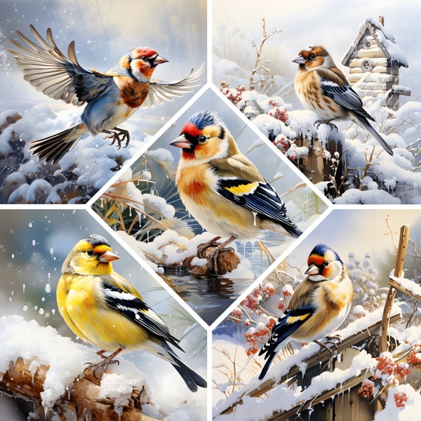 Winter American Goldfinch Watercolor Clipart, 15 Colorful Birds JPG Files, Digital Crafting, Paper crafts, Instant Download, Commercial Use