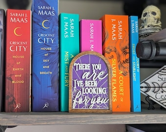 There you are I've been looking for you, Rhysand and Feyre Licensed ACOTAR  Bookshelf Sign, Wooden Shelf Sitter, bookish wall art