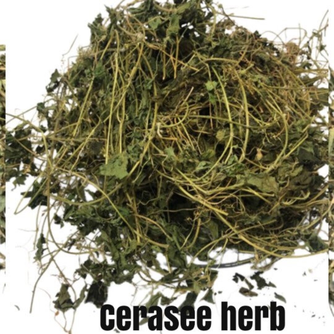 Jamaican Cerasee Herb , Wild Crafted , Bitter Melon Detox Herb Etsy