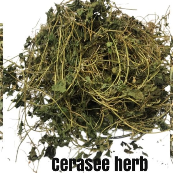 Jamaican Cerasee Herb , Wild Crafted , Bitter Melon detox herb