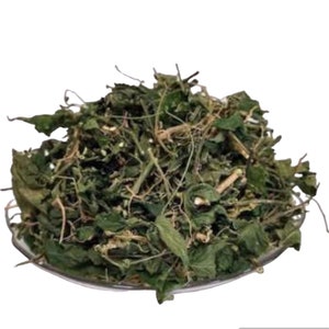 4 oz Jamaican Dog Blood Herb , Bush Tea , Rivina Humilis Wildcrafted