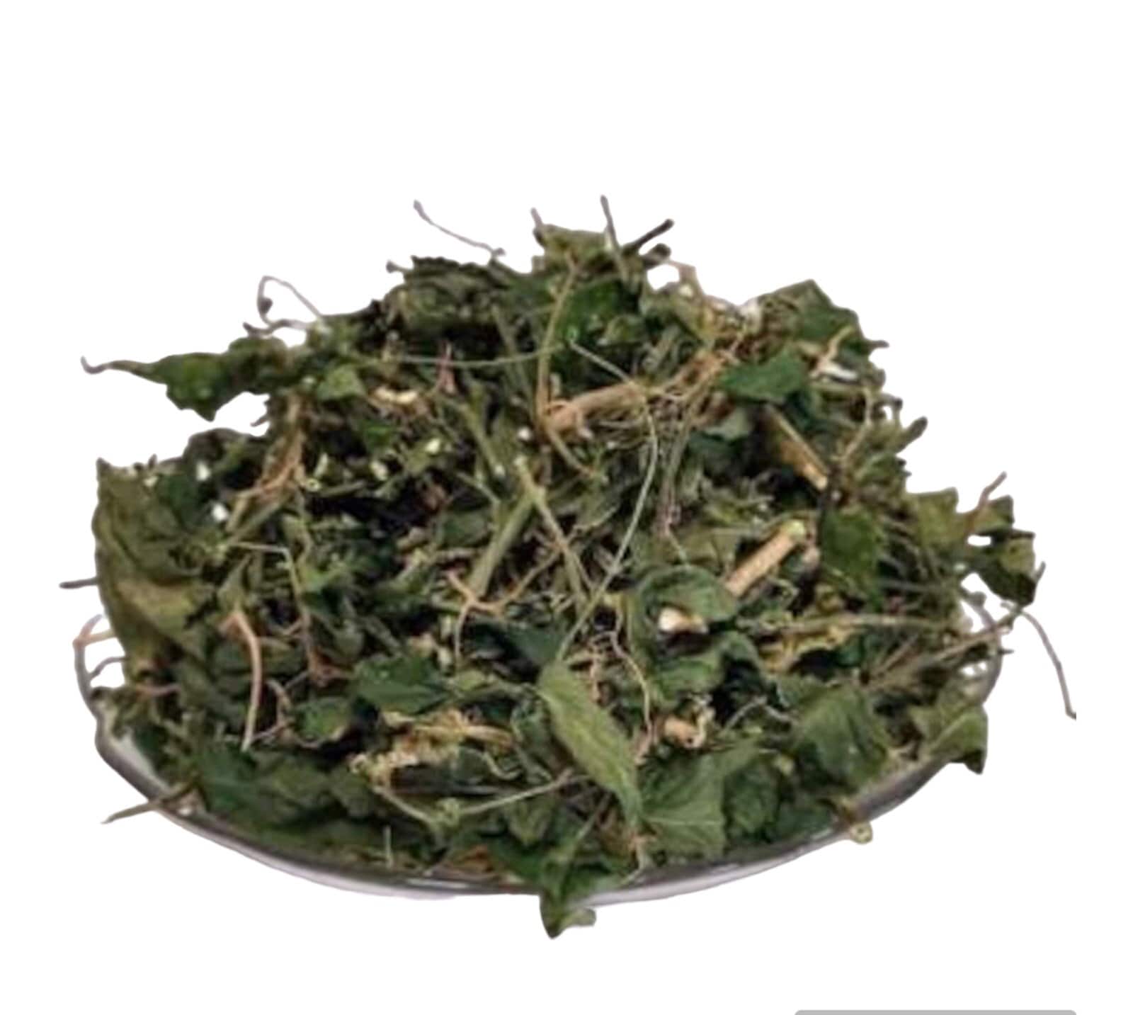 4 oz Jamaican Dog Blood Herb , Bush Tea , Rivina Humilis Wildcrafted