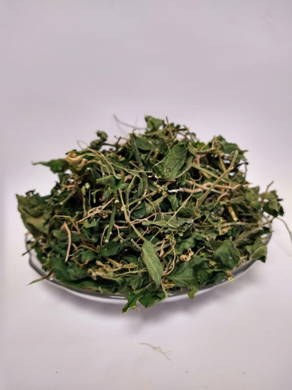 4 Oz Jamaican Dog Blood Herb Bush Tea Fertility Bush Etsy