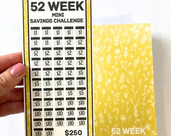 Mini Monday 250 Dollar Savings | Wildflower Design | 52 Week Savings Challenge Binder | A6 Disc Binder | Cash Budgeting | Money Binder