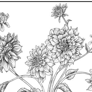 30 Floral Botanical Colouring Book Pages, Digital Download, Children&#39;s Colouring, Adult Colouring, DIY, Art and Crafts