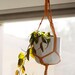 see more listings in the Plant Hangers section