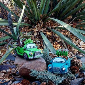May include: Two miniature car-shaped planters, one green and one blue, each holding a small succulent. The green car is on a rock, and the blue car is on the ground. The scene is set outdoors with natural foliage.
