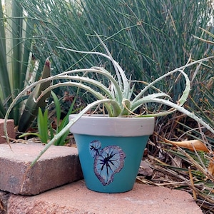 May include: A potted succulent plant with long, spiky leaves. The turquoise ceramic pot has a light gray rim and a painted leaf design. The plant sits on a red brick surface, with greenery in the background.