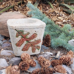 May include: A square concrete planter with a leaf design in shades of red and green. The planter is surrounded by pine cones, rocks, and evergreen branches. The planter is ideal for small plants or succulents.