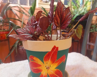 Unique Hand-Painted Daylily Planter - 6 Terra Cotta Pot with Saucer for Indoor/Outdoor Gardening