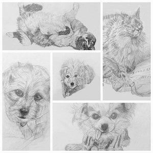 Charmante handgetekende katten- en hondenkaartjes, linnen karton 5,5 x 4, briefpapier van Perfect Pet Lover - set van 5