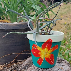 May include: A small potted succulent plant in a teal painted ceramic pot with a hand-painted red and yellow flower design. The rim of the pot is painted white and light green. Another plant in a dark brown pot is in the background.