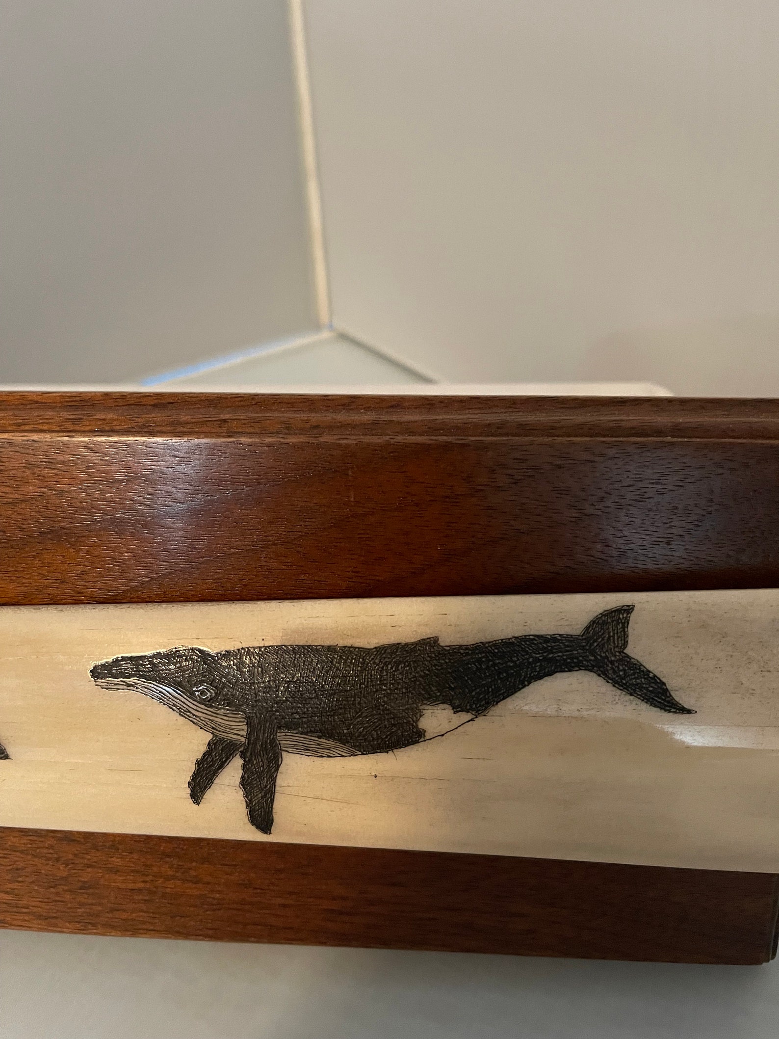 Scrimshawed Swordfish Bill Etsy