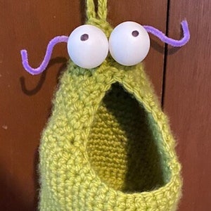 May include: A green crocheted hanging planter with a fringe bottom and two white googly eyes. Purple pipe cleaners are attached to the top of the planter and form antennae.