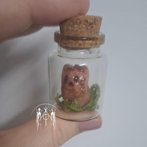 Op de afbeelding: Een kleine glazen fles met een kurken stopper, met een bruine, gebeeldhouwde figuur met een gezicht, rustend op groen mos. De fles wordt in een hand gehouden. De figuur heeft een enigszins verontruste uitstraling.
