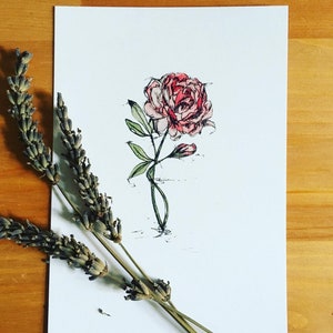 Postkarte Rose