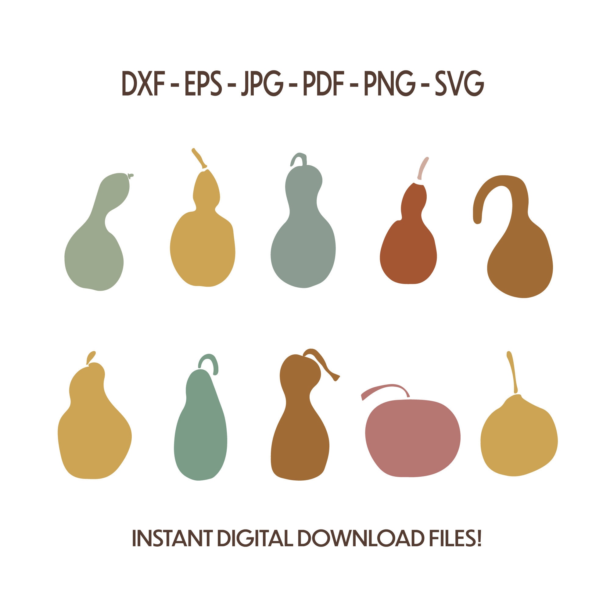 Gourd Art Autumn SVG Fall SVG Bundle Oh My Gourd All - Etsy