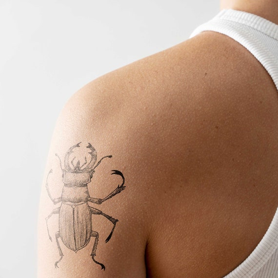 Ladybug Tattoo Meaning  neartattoos