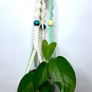 Makramee Blumenampel