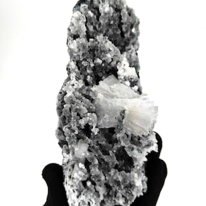 May include: A raw mineral specimen featuring a dark grey, textured matrix covered in small, crystalline white formations. A prominent, fan-shaped cluster of translucent white crystals extends from the center of the rough, jagged stone surface.
