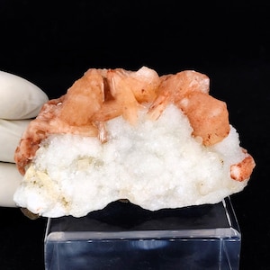 May include: A raw mineral specimen featuring a cluster of translucent, peach-colored crystals growing atop a base of opaque, white, granular crystalline material. The specimen displays a jagged, natural formation with varied crystal sizes.