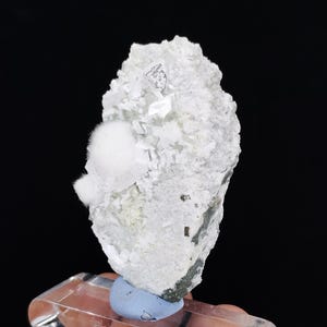 May include: A mineral specimen featuring a cluster of white, crystalline structures and a distinct, spherical, fuzzy white formation attached to a rough, light-colored rock matrix with small dark inclusions, mounted on a clear acrylic stand.