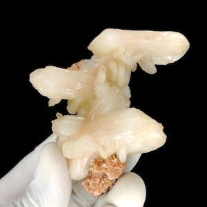 Op de afbeelding: Een cluster van crèmekleurige calcietkristallen, die op een bloemstuk lijken, tegen een zwarte achtergrond. De kristallen zijn bevestigd aan een kleine, roodbruine matrix. De belichting benadrukt de textuur en vorm van het mineraal specimen.