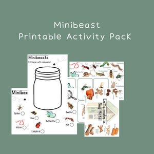 Minibeasts Flashcards, Pacchetto attività Minibeast, Attività sulla natura, Schede per la scuola domestica, Flashcards, Studio della natura, Montessori, Flashcards, Insetti