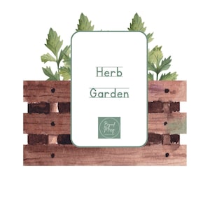 Herb Garden Flashcards, Nature Herbs Cards, Nature Flashcards, Homeschool Cards, Flashcards, Nature Study, Herb Garden Cards, Montessori