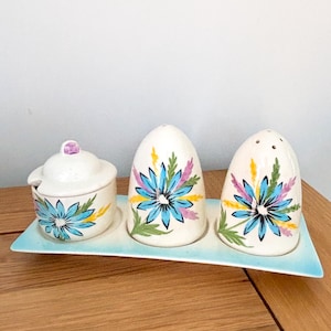 May include: A vintage ceramic condiment set comprising a lidded sugar bowl with spoon and two salt and pepper shakers. Each piece is white with a blue floral design, presented on a light blue rectangular tray.