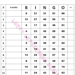 1-15 plateau de bingo (mixte, droit, vierge)