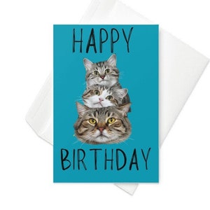 birthday card cat, tabby cat birthday card , cat lover gift card,cat greeting card ,personalised card