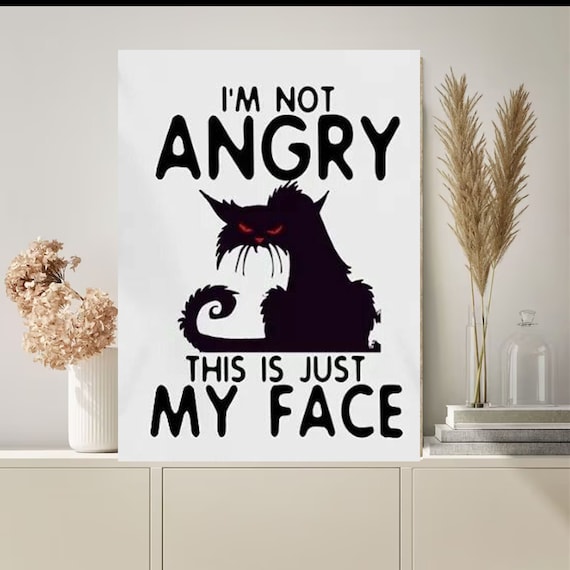 i am not angry cat meme | Poster