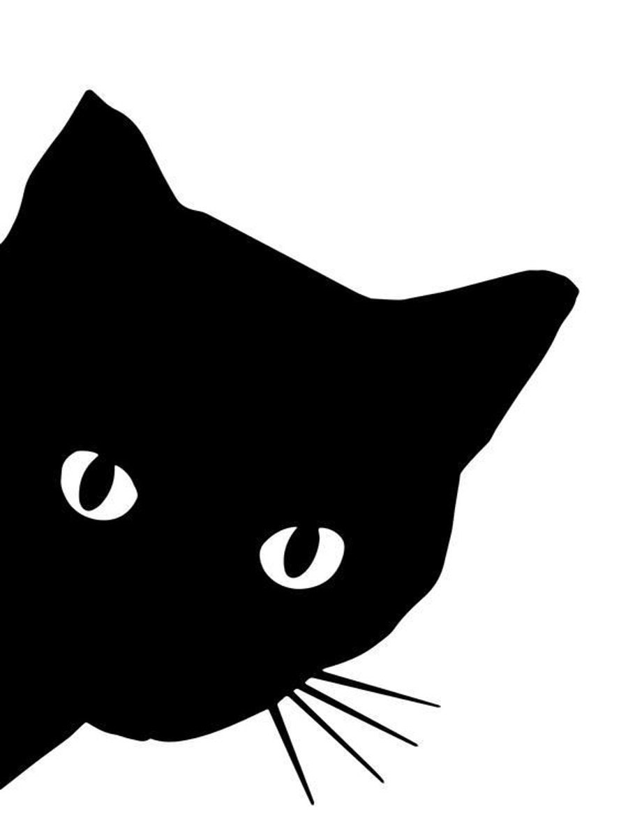 Black Cat Wall Art Black Cat Print black Cat Artwork Home Decor - Etsy