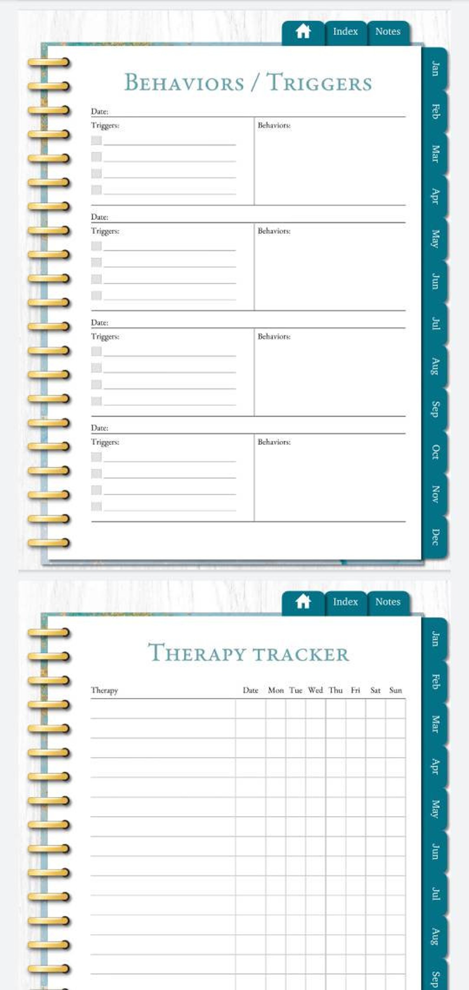 Special Needs Planner, Health Tracker, Medical Binder, Autism Binder
