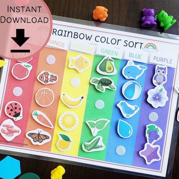 Rainbow Color Sort Printable | Color Match Activity | Preschool Color Sheets | Instant Download