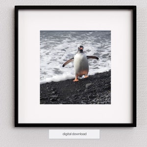 Gentoo Penguin, Antarctic, WIldlife Photography, Bird Photography, Bird Portrait, Penguin Gift, Sea Stones, Sea Waves, Digital Product