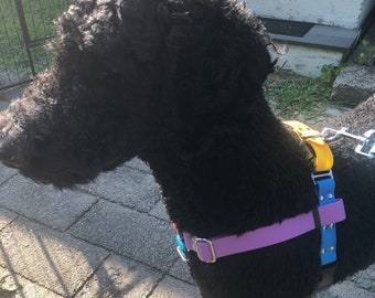 Martingale Biothane Harness