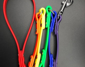 4' LGBTQ+ Pride Biothane Leash