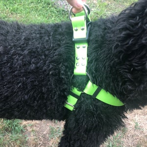 Biothane Step-in Harness