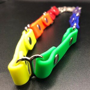 Peut inclure: Un collier de chien en silicone arc-en-ciel avec des accessoires en m&eacute;tal argent&eacute;. Le collier est compos&eacute; de pi&egrave;ces individuelles en silicone aux couleurs de l'arc-en-ciel, reli&eacute;es par une cha&icirc;ne argent&eacute;e.